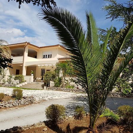 מרטינה פרנקה Villa Venus Woods מראה חיצוני תמונה