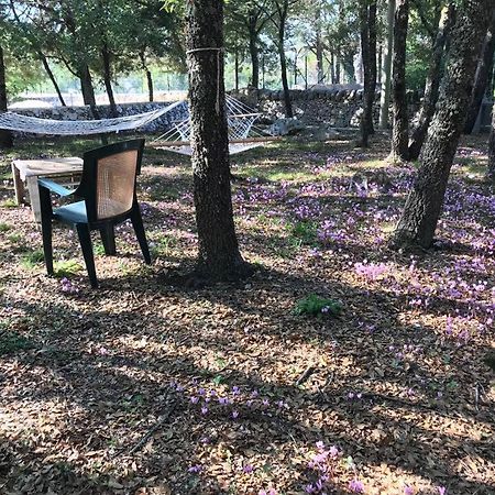 מרטינה פרנקה Villa Venus Woods מראה חיצוני תמונה