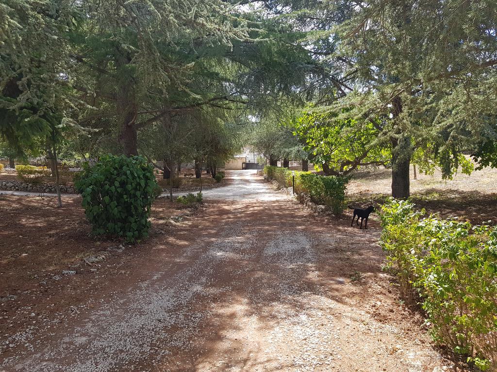 מרטינה פרנקה Villa Venus Woods מראה חיצוני תמונה