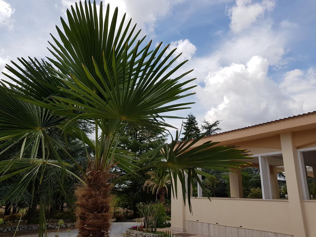מרטינה פרנקה Villa Venus Woods מראה חיצוני תמונה